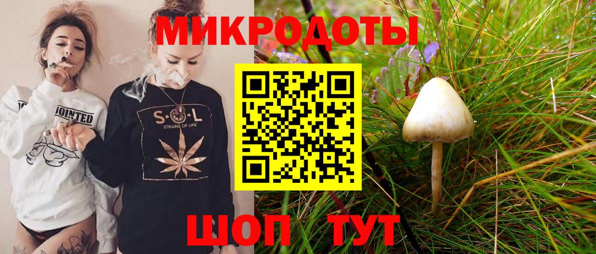 Галлюциногенные грибы Psilocybine cubensis Кинель
