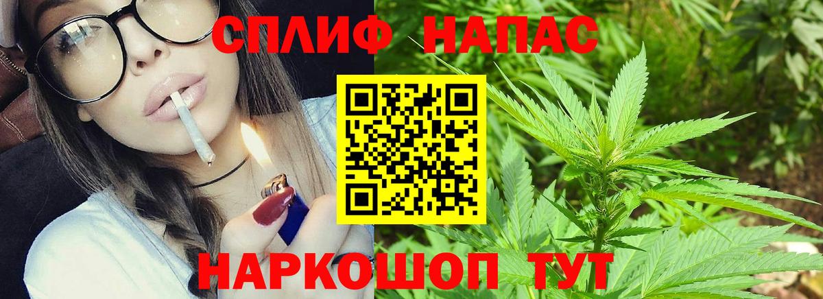 Бошки Шишки ГИДРОПОН Кинель